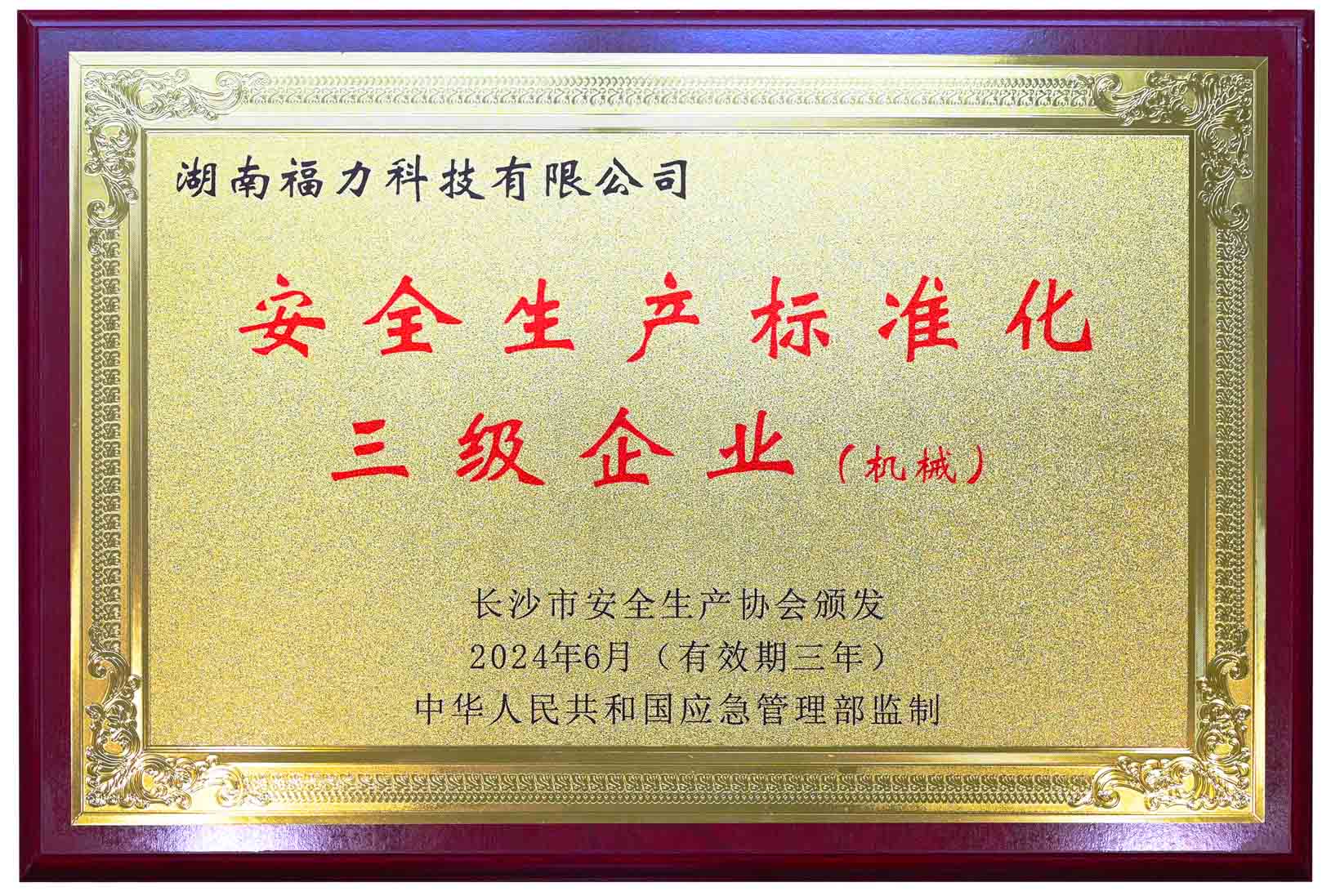 安全生產(chǎn)標準化三級企業(yè)（機械）